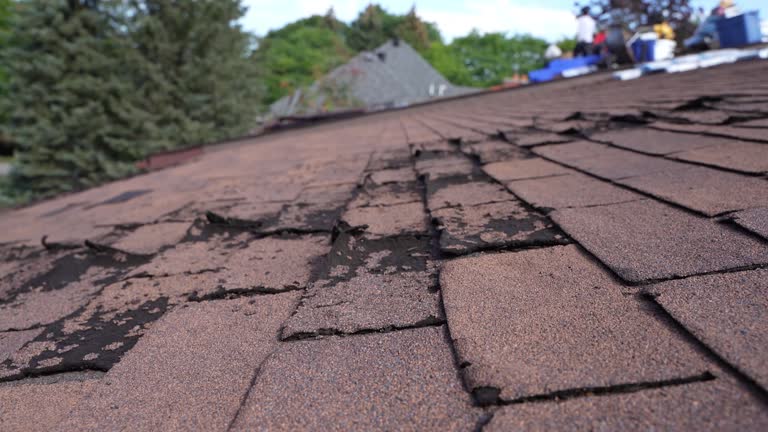 Fast & Reliable Emergency Roof Repairs in Lake Darby, OH
