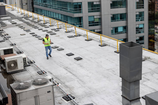 Best Roof Maintenance and Cleaning  in Lake Darby, OH