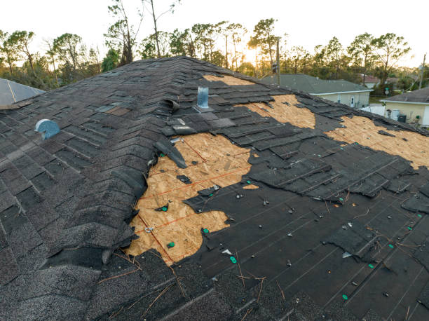 Best Emergency Roof Repair Services  in Lake Darby, OH