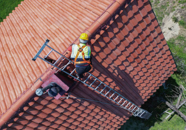 Best Asphalt Shingles Roofing  in Lake Darby, OH