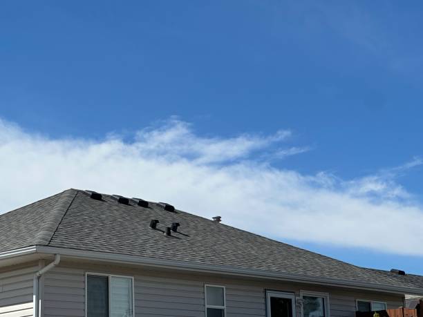 Best Roof Ventilation Installation  in Lake Darby, OH